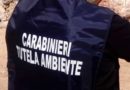 Mancato smaltimento di condotte in cemento amianto, i Carabinieri sequestrano manufatto