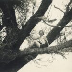 Al Magazzino delle Idee la mostra fotografica "Io non scendo. Storie di donne che salgono sugli alberi e guardano lontano" a cura della giornalista Laura Leonelli