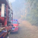 Due incendi sul Carso goriziano prontamente domati dai Vigili del fuoco. Non si registrano danni a persone