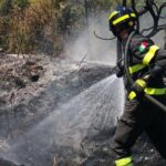 Domato nella notte l'incendio sul Carso goriziano, 40 ettari di bosco distrutti