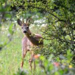 Accogli l’autunno 2024 in modo sostenibile: 6 idee per sostenere la natura e l'ambiente