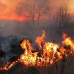 Siccità e temperature eccezionalmente calde favoriscono gli incendi: la situazione in regione