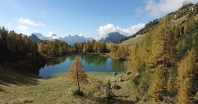 Ottobre sulle Alpi Carniche è una scoperta continua con le Experience di Visit Zoncolan